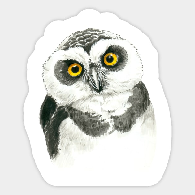 Owl Sticker by katerinamk